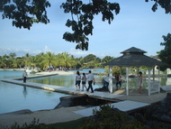 マクタン島高級リゾートホテル「Plantation Bay Resort & Spa」