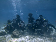 セブ島日本語で安心ダイビング「Emerald Green Diving Center」