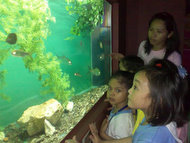 セブ留学生向けの週末プラン水族館「Mactan Island Aquarium」