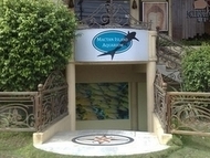 セブ留学生向けの週末プラン水族館「Mactan Island Aquarium」