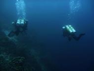 セブ島留学生週末ダイビング「Kontiki Divers」