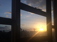 東京都MOさん（20代・女性）Cleverlearn 2014年11月から20週間留学