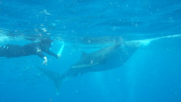 山口県MNさん（30代・ 女性）CEBU JIC  2016年7月から6週間留学