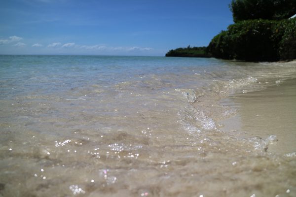 神奈川県DWさん（20代・男性）UV ESL 2016年10月から7週間留学