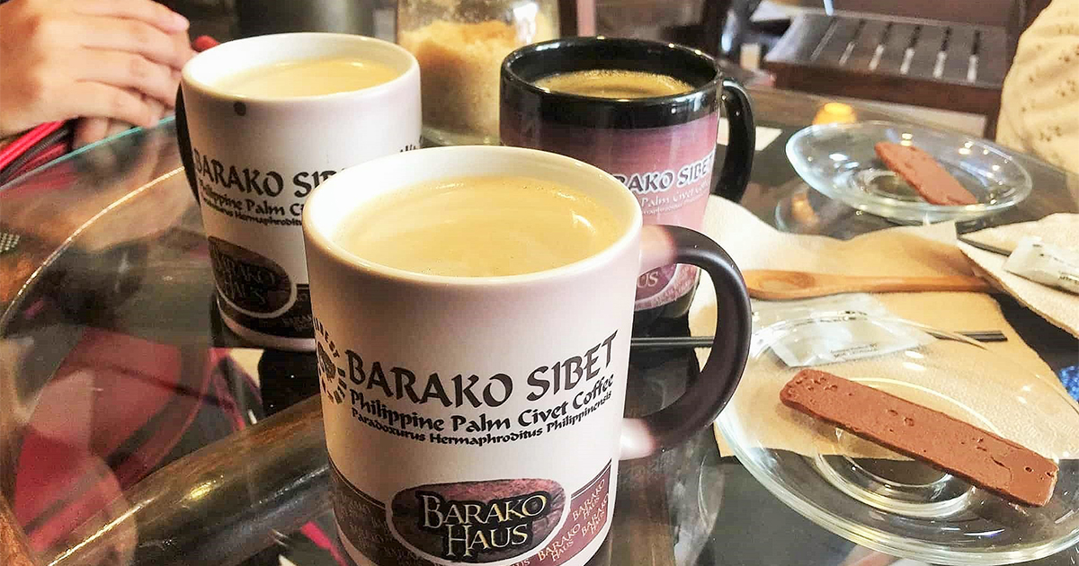 フィリピン・パラワン島産 オーガニックシベットコーヒー 100g