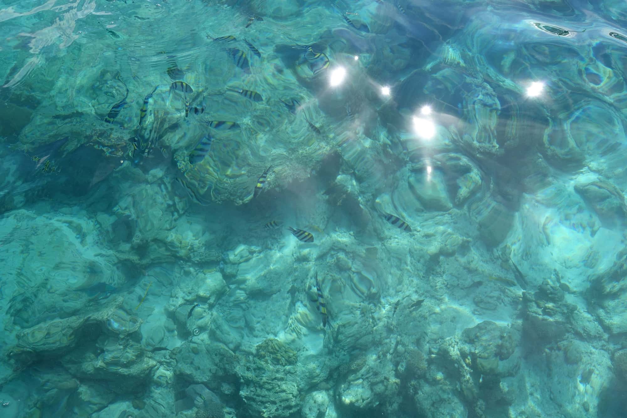 ソルパ島沖の海水の色