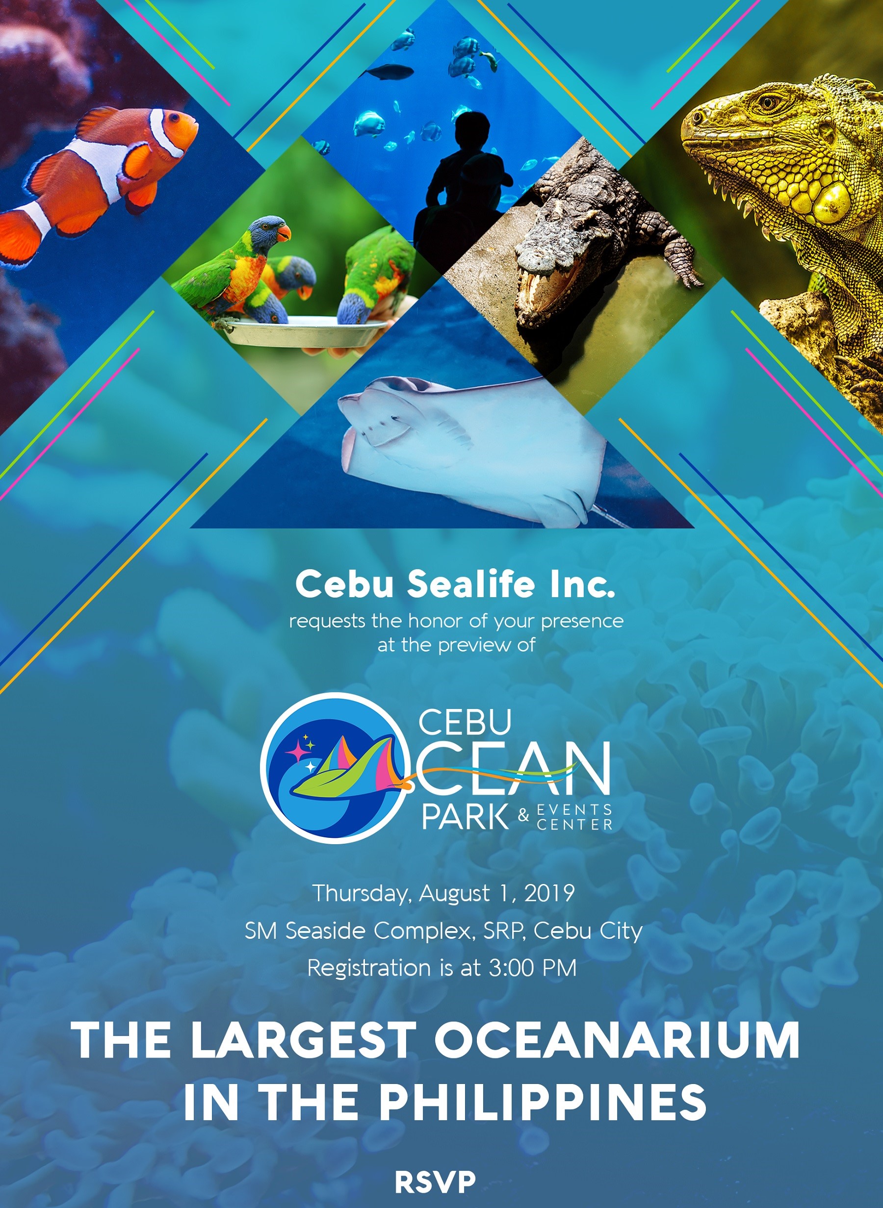 Cebu Ocean Park セブオーシャンパークのプレスリリース