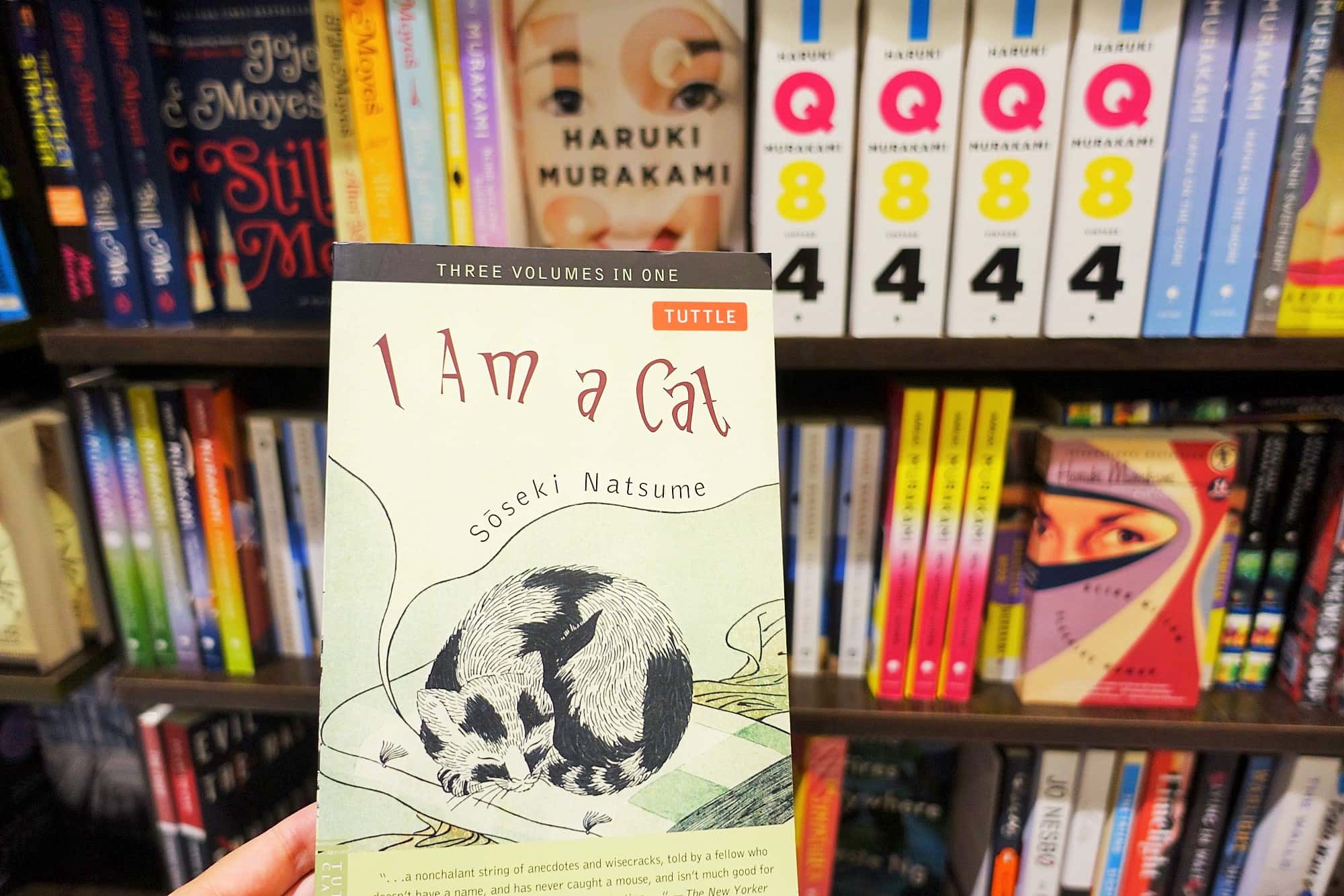 セブ島の本屋で見かけた夏目漱石の、I Am a Cat　吾輩は猫である