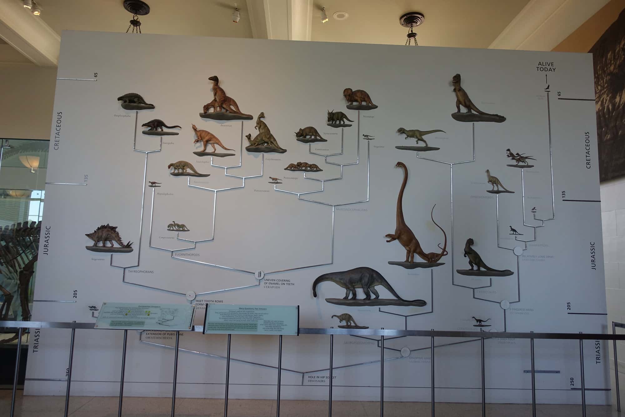 恐竜たちの進化の過程