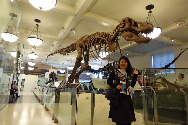 アメリカ自然史博物館の恐竜とAyakoさん