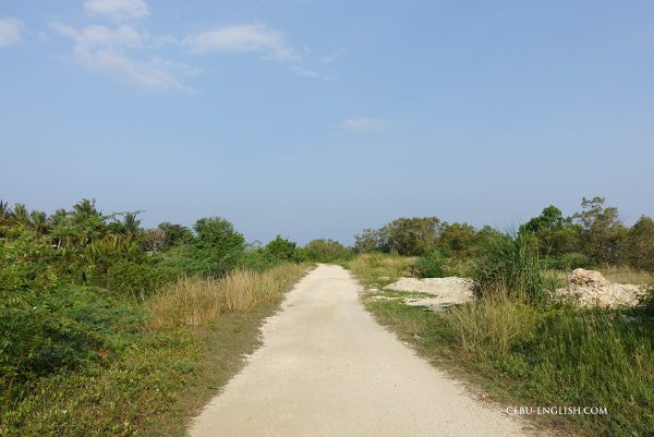 セブ島留学ELSA（エルサ）の海まで続く遊歩道