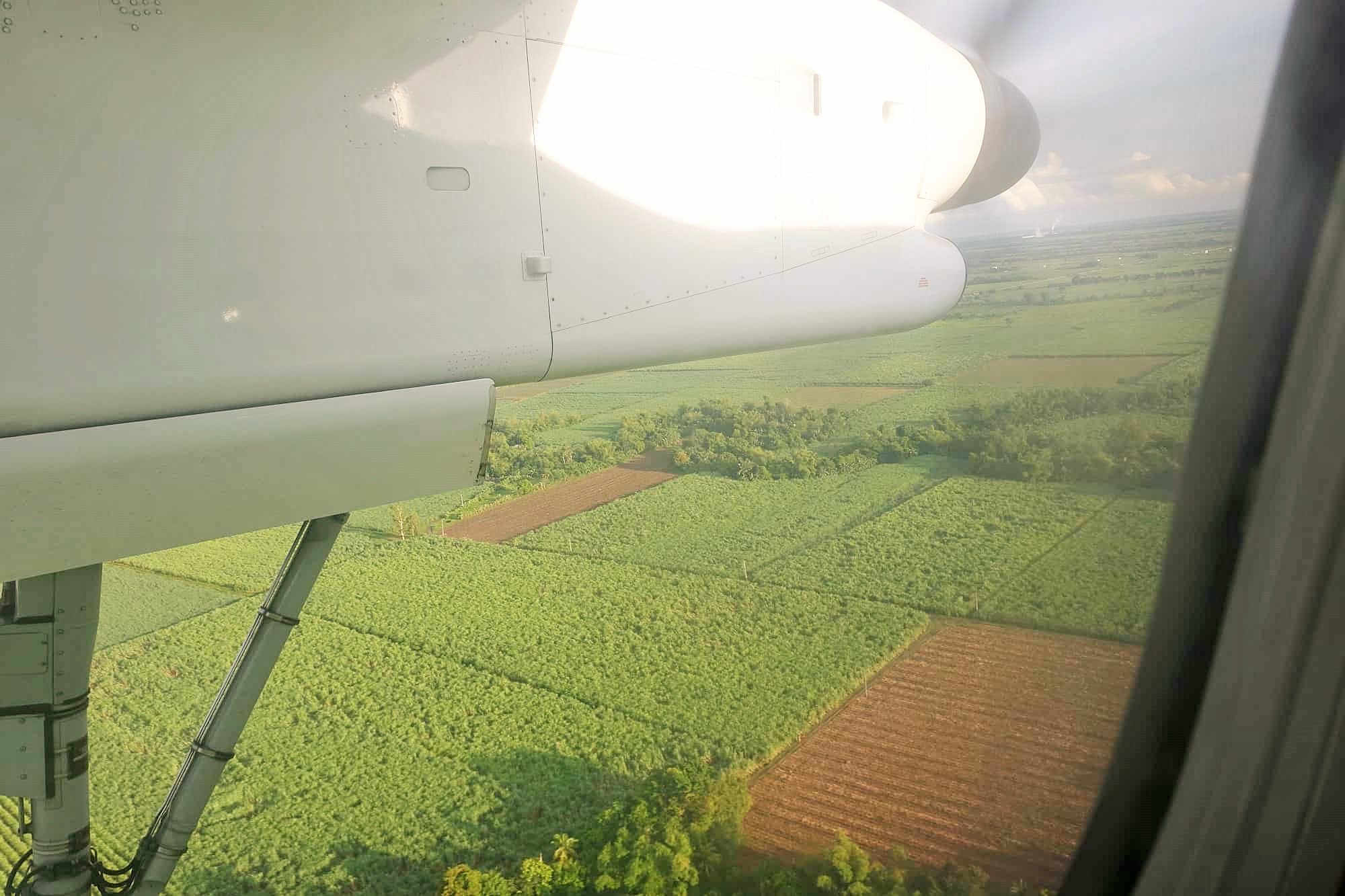 飛行機から見たフィリピン・バコロドのさとうきび畑