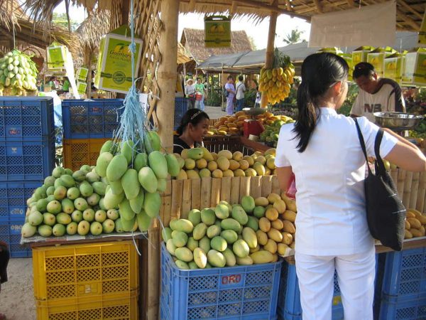 フィリピン・ギマラス島 Guimaras Islandの甘いマンゴー