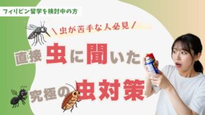 【2026年最新】フィリピン留学の虫問題を解決｜ゴキブリ・アリ・蚊への独占インタビューから学ぶ対策
